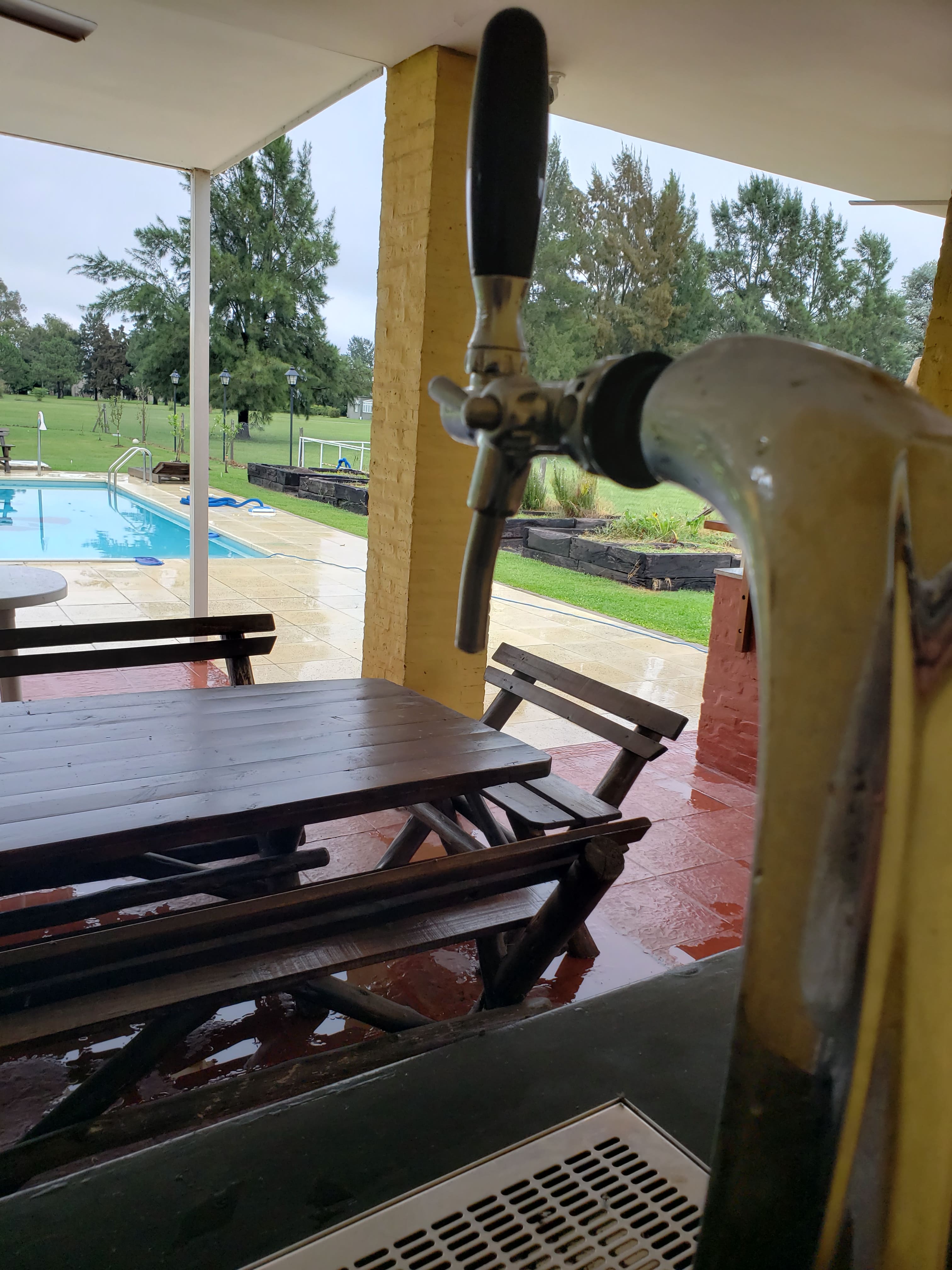 Chopera de cerveza electrica